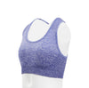 Seamless Sports Bra